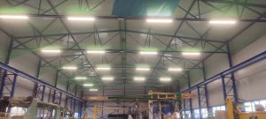 montaż siatki przeciw ptakom